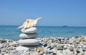 Ein Steinhaufen am Strand mit einer Muschel darauf in der Unterkunft Iason Hotel Apartments in Giosonas