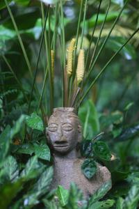 Una estatua de una cabeza con algunas plantas. en Casa Rio Blanco Eco Friendly B&B en Guápiles