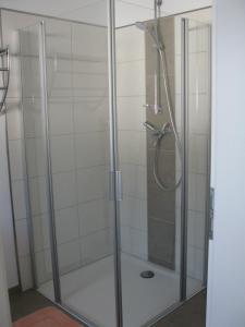 y baño con ducha y puerta de cristal. en FeWoMeißner en Wittingen