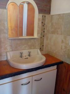 baño con lavabo y espejo en la encimera en Cabañas "La Quimera" en El Durazno