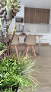 Fotografie z fotogalerie ubytování Apartmány Na Vyhlídce v destinaci Paseka