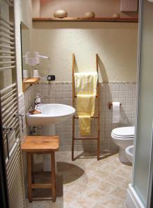 een badkamer met een wastafel en een toilet bij Les Chevreuils in Arvier