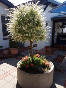 a tree in a pot with flowers in a courtyard at Nielsen Appartment 2 in Hüsby