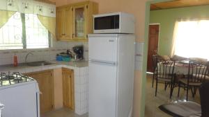 een keuken met een magnetron en een koelkast bij Yard Style in Kingston
