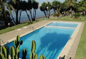 una piscina con un cactus di fronte all'oceano di Apartment Boulevard 302 a Estepona