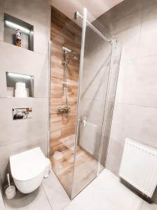 a bathroom with a shower and a toilet at Apartament Kraków Arena No. 100 in Krakow