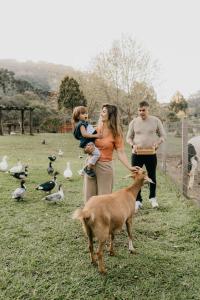 uma família em pé num campo a olhar para uma cabra em Hotel Fioreze Chalés em Gramado