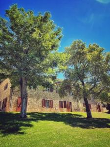 two trees in front of a brick building at Il Casolare Val Di Mare in Riparbella