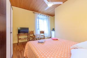 a bedroom with a bed and a television and a table at Rooms Nela in Hum