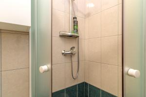 a bathroom with a shower with a bottle in it at Rooms Nela in Hum