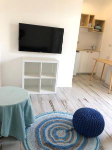 salon z telewizorem i niebieskim dywanem w obiekcie Oria studio's w Ejlat