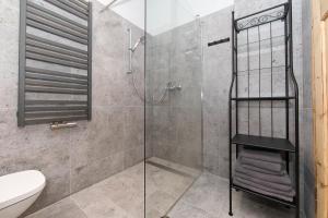 a bathroom with a shower with a toilet and a glass door at Apartamenty Stara Apteka in Stronie Śląskie +14 photos