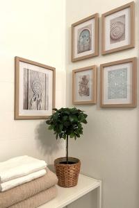 a bathroom with a potted plant on a table with framed pictures at Modern apartment in a charming old town setting in Altstätten