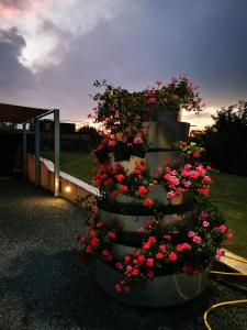 Zahrada ubytování Villa Borsacchio