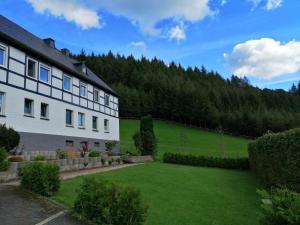 a house with a green lawn in front of it at FeWo im schönen Sauerland in Meschede