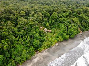 an aerial view of a house in a forest next to the ocean at Lodge El Amargal - Reserva Natural, Ecoturismo & Surf in Nuquí