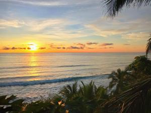 Gallery image of Lodge El Amargal - Reserva Natural, Ecoturismo & Surf in Nuquí