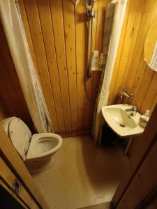 Vonios kambarys apgyvendinimo įstaigoje Charming Mountain Cabin