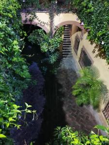 un jardín con una pasarela y un puente en Cuarto Panchito ***Centro Histórico***, en Querétaro