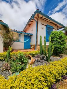 una casa con una puerta azul y cactus en Casa Raisol, en Barichara