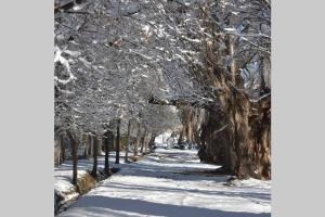 a snow covered path with trees on either side at Casa en El Manzano Histórico, Valle de Uco in Tunuyán
