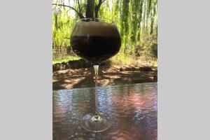 ein Glas Rotwein im Wasser in der Unterkunft Casa en El Manzano Histórico, Valle de Uco in Tunuyán