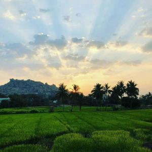 Landskap semula jadi dekat dengan rumah tamu ini