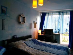 sypialnia z łóżkiem i oknem w obiekcie Apartament w Bieszczadach w Wołkowyi