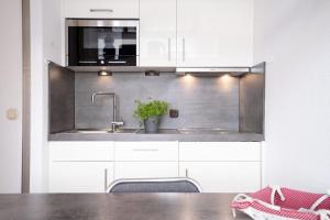 cocina con armarios blancos y fregadero de acero inoxidable en Haus Berolina Wohnung 500, en Dahme