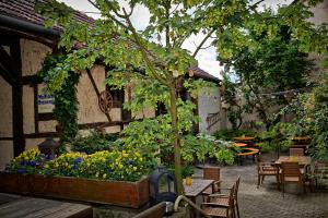 - un jardin avec un arbre, des tables et des chaises dans l'établissement Hotel Walfisch, à Hassfurt