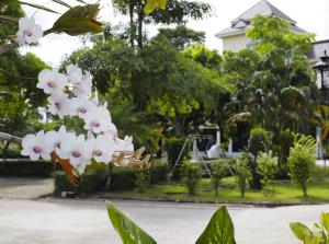 a bunch of white flowers in a park at Luckswan Resort Chiang Rai - SHA Extra Plus in Chiang Rai