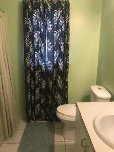 a bathroom with a toilet and a shower curtain at Cozy Pocono Cottage near Jack Frost Jim Thorpe in Albrightsville