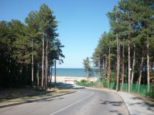 una carretera que conduce a la playa con árboles en Nimpha Bungalows en Kamchia