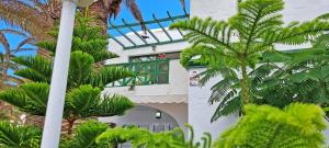 Ogród w obiekcie Ferienwohnung PALM GARDEN - Costa Calma - Pool - GlasfaserInternet