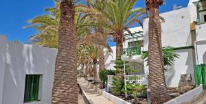 rząd palm przed budynkiem w obiekcie Ferienwohnung PALM GARDEN - Costa Calma - Pool - GlasfaserInternet w mieście Costa Calma