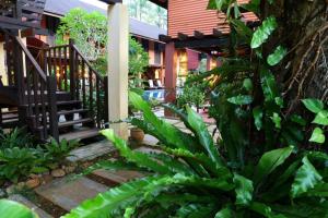 a garden filled with lots of plants and trees at The Village House in Santubong