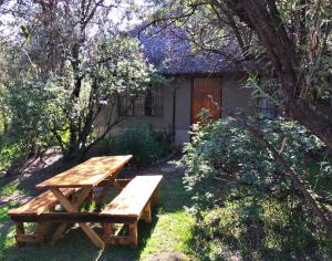 una mesa de picnic en el césped frente a un edificio en Sani Lodge and Backpackers Sani Pass South Africa, en Sani Pass