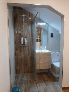 a bathroom with a shower and a sink and a toilet at Habitacion cerca del Aeropuerto in Coslada
