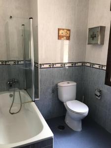 uma casa de banho com um WC, um chuveiro e um lavatório. em Casa Rural las Escuelas II em El Hoyo de Pinares