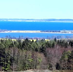a view of a body of water with trees at Seeblick in Hohenfelde +8 photos