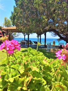 um jardim com flores cor-de-rosa em frente ao oceano em Genari Beach Apartments em Levendokhórion