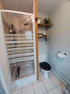 ein Badezimmer mit Toilette und Glasdusche in der Unterkunft L'escale honfleuraise in Honfleur + 38 Fotos
