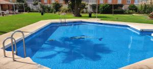 Basen w obiekcie Saltillo Alto Gray Studio. Vistas al mar y piscina lub w pobliżu