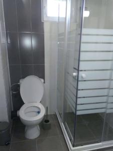La salle de bains est pourvue de toilettes et d'une douche en verre. dans l'établissement Nev Apart New, à Velingrad