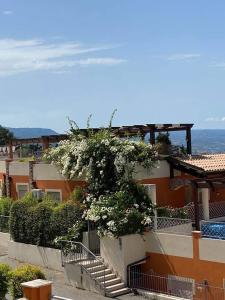 un bâtiment avec un arbre et des fleurs blanches dans l'établissement casa norvegese, à Pizzo