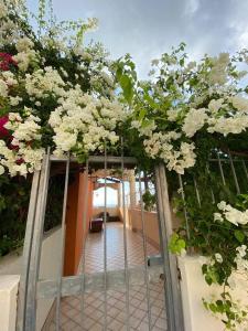 une porte ouverte avec des fleurs blanches sur elle dans l'établissement casa norvegese, à Pizzo