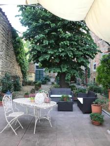 Κήπος έξω από το Suite Romantica con Giardino in Dimora Storica - Camera e Appartamento - B&B Palazzo Robicci +20 φωτογραφίες