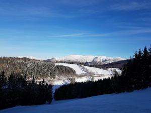 Pokrajina v okolici apartmaja