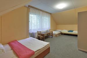 Postelja oz. postelje v sobi nastanitve Chata na sjezdovce - Klepáčov