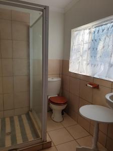 a bathroom with a toilet with a shower and a sink at Dombeya Ridge Guest Suite in Rustenburg